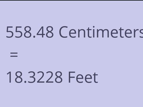 558.48 CM TO FEET