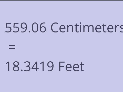 559.06 CM TO FEET