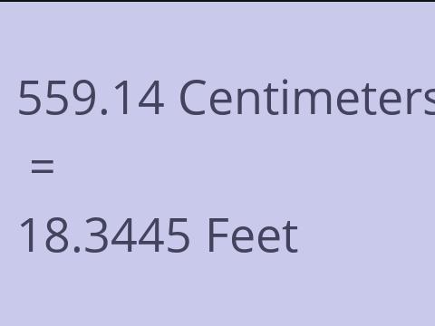 559.14 CM TO FEET