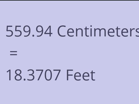 559.94 CM TO FEET