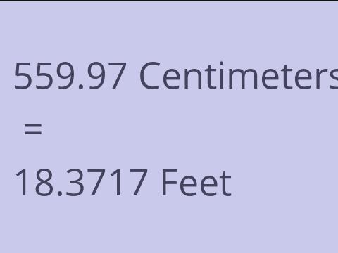 559.97 CM TO FEET