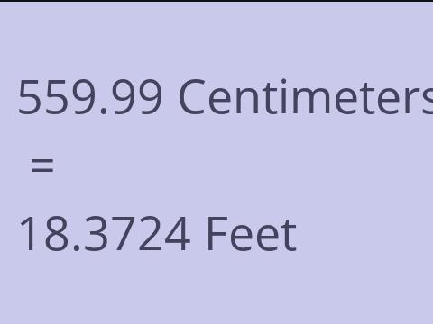 559.99 CM TO FEET