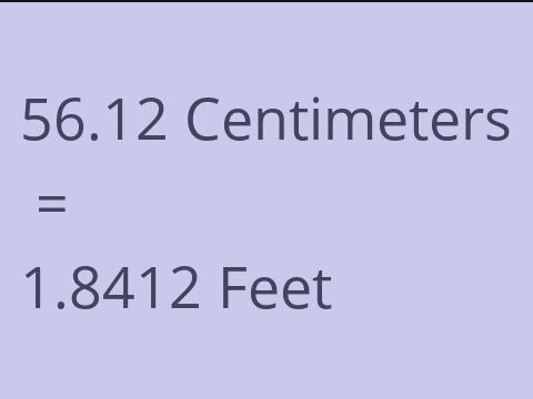 56.12 CM TO FEET