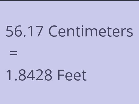 56.17 CM TO FEET