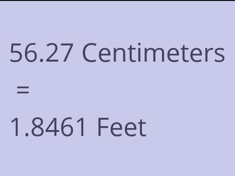 56.27 CM TO FEET