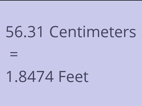 56.31 CM TO FEET