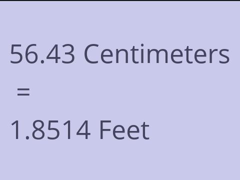 56.43 CM TO FEET