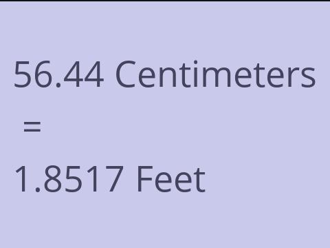 56.44 CM TO FEET