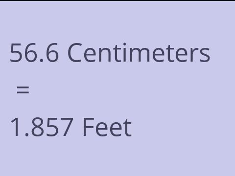 56.6 CM TO FEET