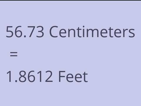 56.73 CM TO FEET