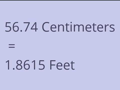 56.74 CM TO FEET