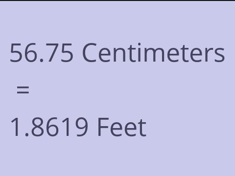 56.75 CM TO FEET