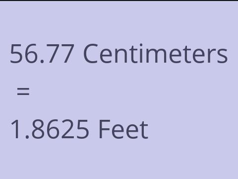 56.77 CM TO FEET