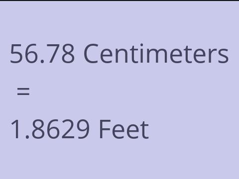 56.78 CM TO FEET