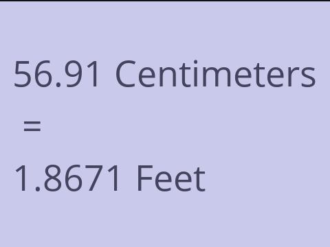 56.91 CM TO FEET