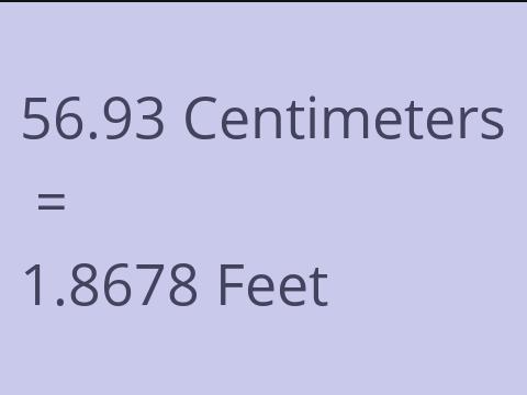 56.93 CM TO FEET