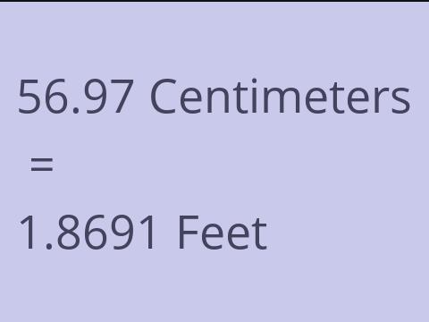 56.97 CM TO FEET