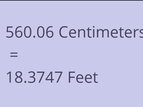 560.06 CM TO FEET