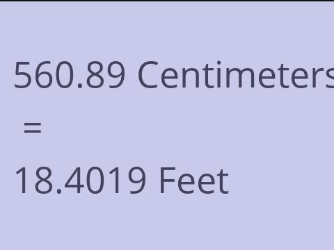 560.89 CM TO FEET