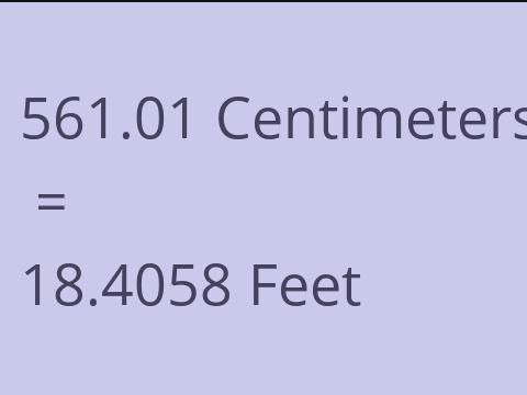 561.01 CM TO FEET