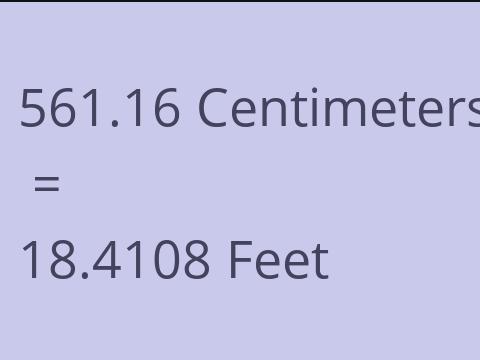 561.16 CM TO FEET