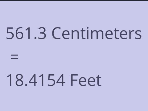 561.3 CM TO FEET