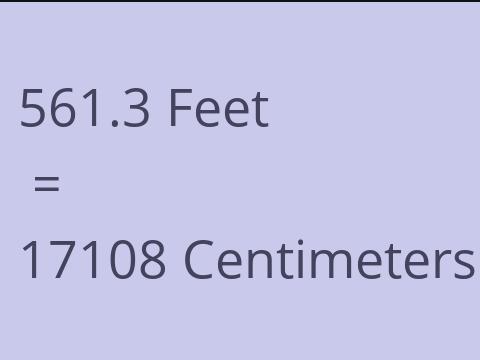 561.3 FEET TO CM