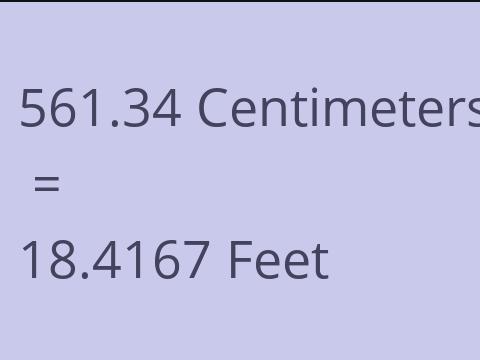 561.34 CM TO FEET