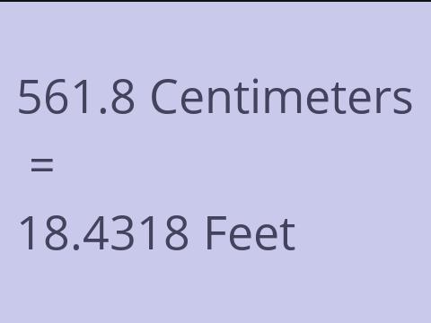 561.8 CM TO FEET