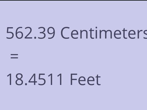 562.39 CM TO FEET