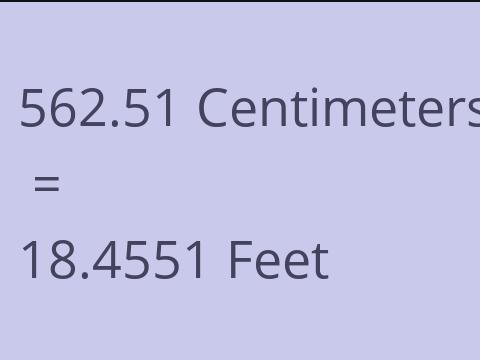 562.51 CM TO FEET