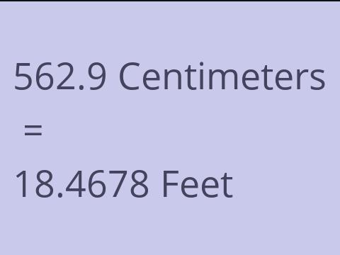 562.9 CM TO FEET