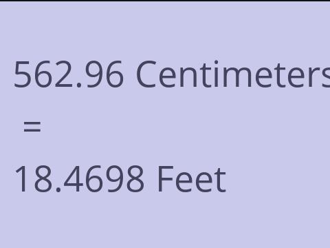 562.96 CM TO FEET