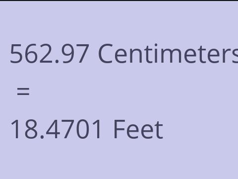 562.97 CM TO FEET