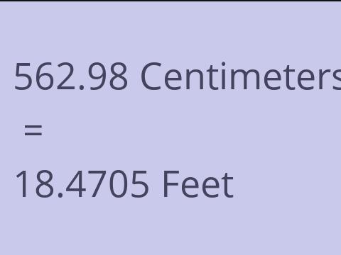 562.98 CM TO FEET