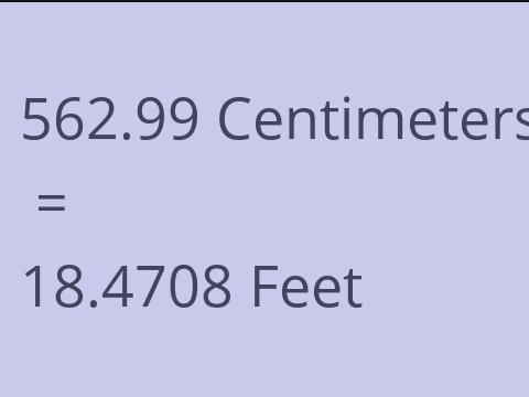 562.99 CM TO FEET