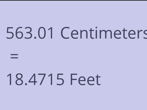 563.01 CM TO FEET