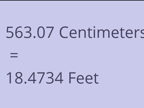 563.07 CM TO FEET