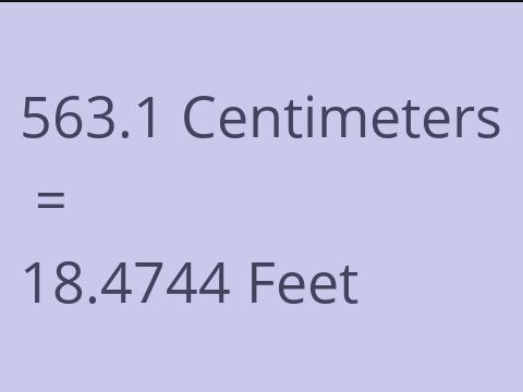 563.1 CM TO FEET