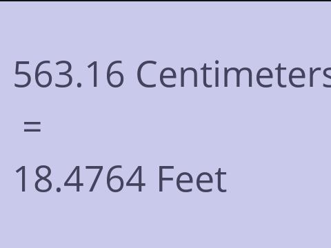 563.16 CM TO FEET