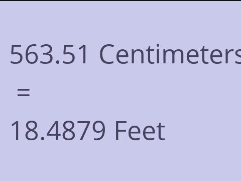 563.51 CM TO FEET