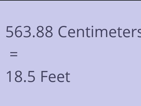 563.88 CM TO FEET