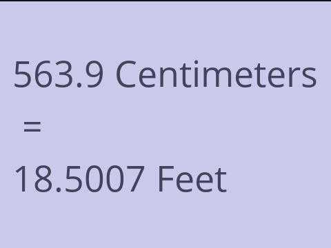 563.9 CM TO FEET