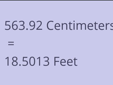 563.92 CM TO FEET