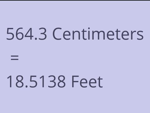 564.3 CM TO FEET