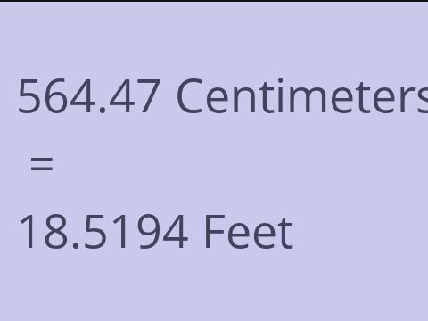 564.47 CM TO FEET