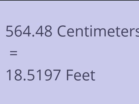 564.48 CM TO FEET