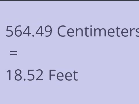 564.49 CM TO FEET