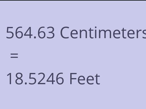 564.63 CM TO FEET