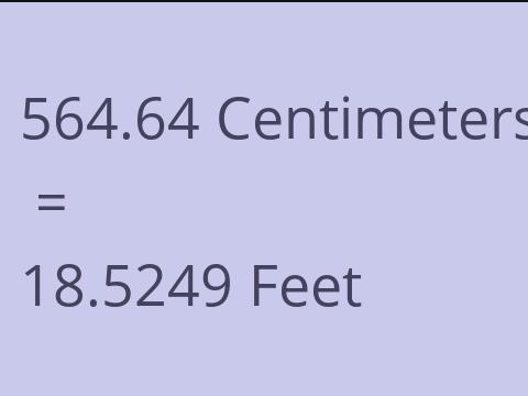 564.64 CM TO FEET